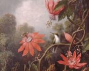 Hummingbird And Passionflowers - 马丁·约翰逊·赫德